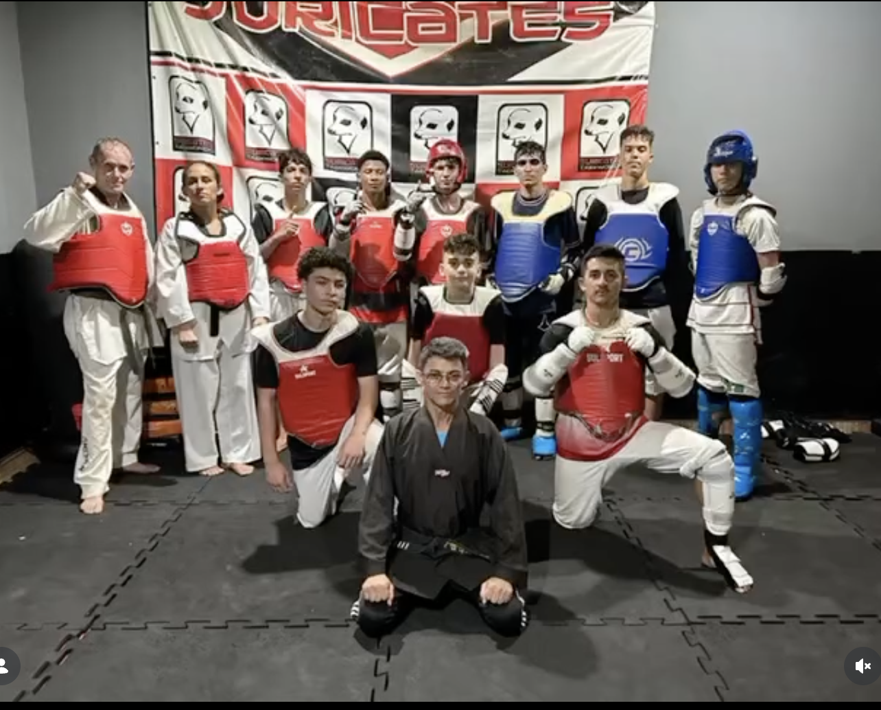 Projeto Suricates em ação